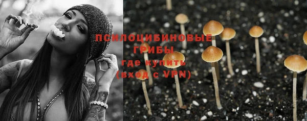 дурь Верея